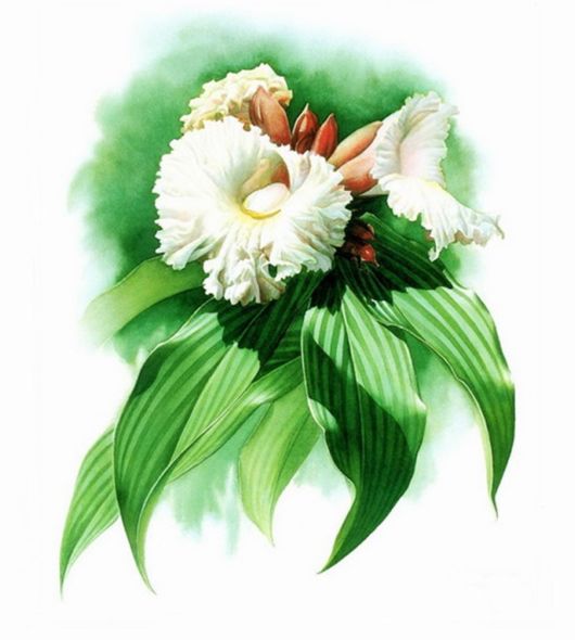 Flowers Painting Is An Amazing Art