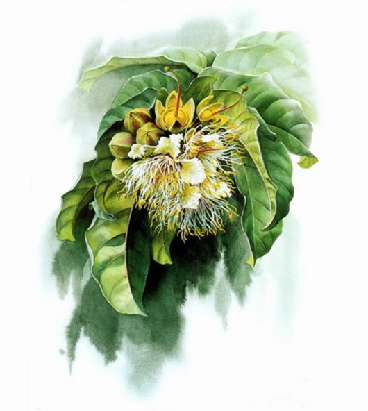 Flowers Painting Is An Amazing Art