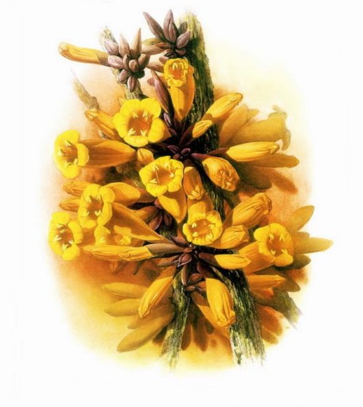 Flowers Painting Is An Amazing Art