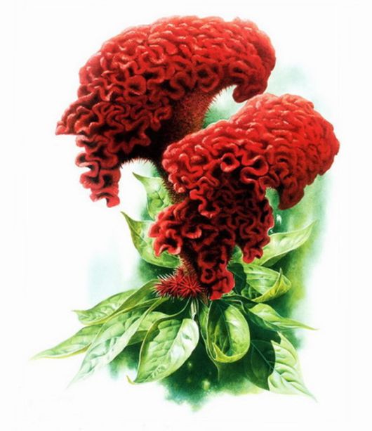 Flowers Painting Is An Amazing Art