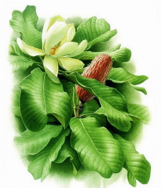 Flowers Painting Is An Amazing Art