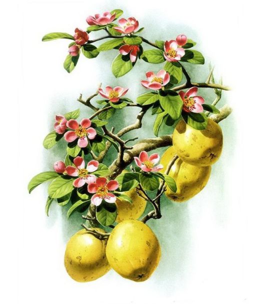 Flowers Painting Is An Amazing Art