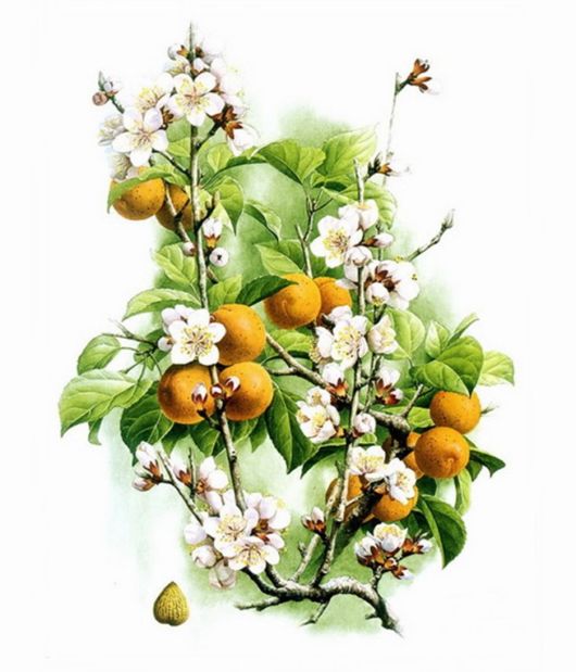 Flowers Painting Is An Amazing Art