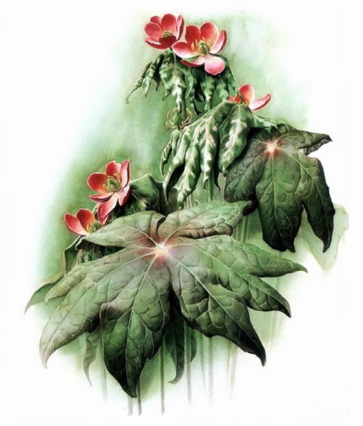 Flowers Painting Is An Amazing Art