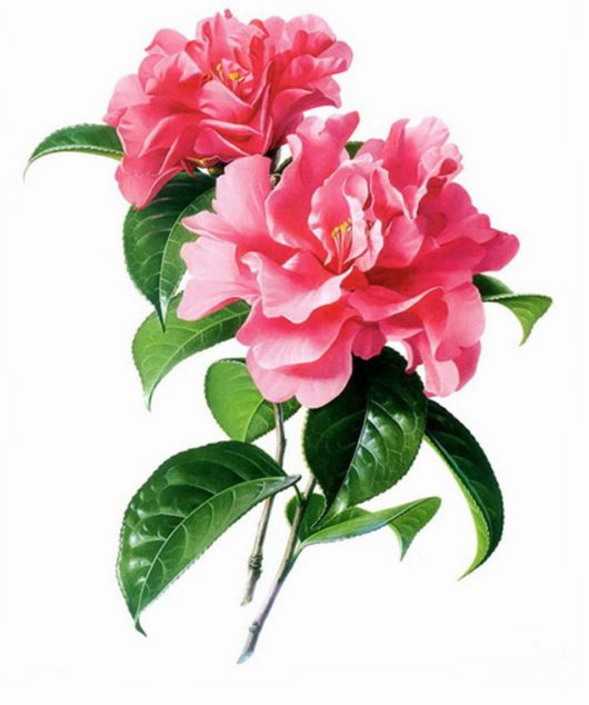 Flowers Painting Is An Amazing Art