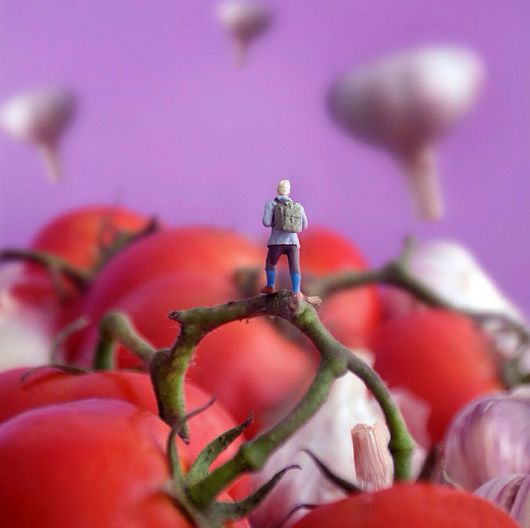 Tiny People's Big Adventures In A World Of Food