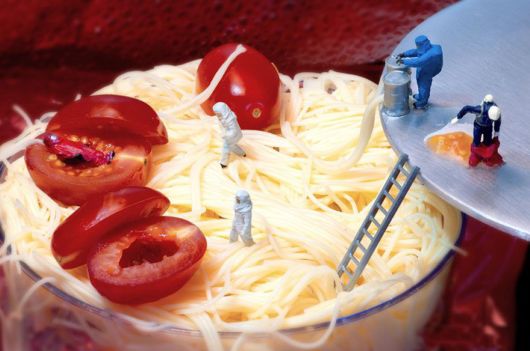 Tiny People's Big Adventures In A World Of Food