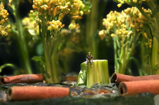 Tiny People's Big Adventures In A World Of Food