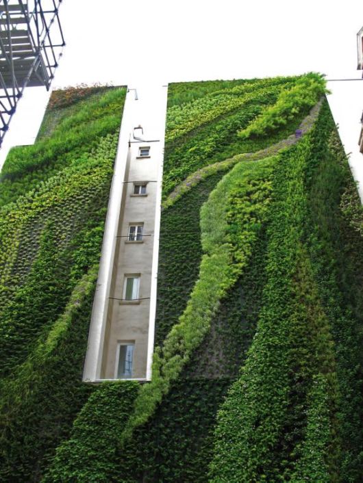 The Art Of Vertical Farming