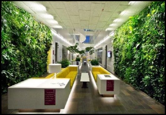 The Art Of Vertical Farming