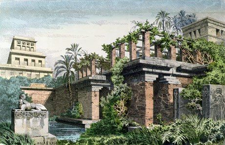 The Art Of Vertical Farming