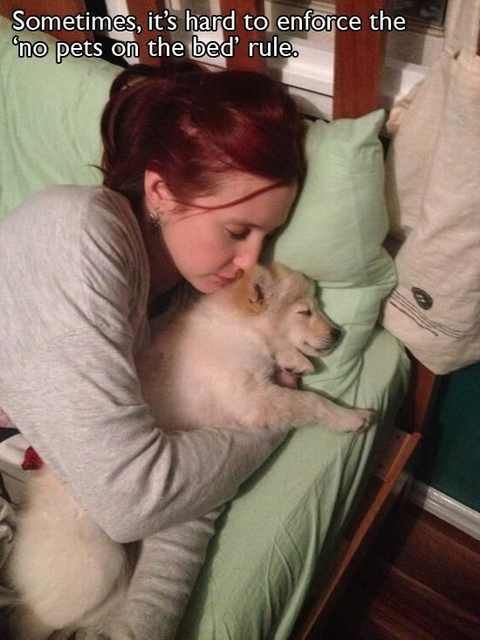 Hilarious Dog Behavior