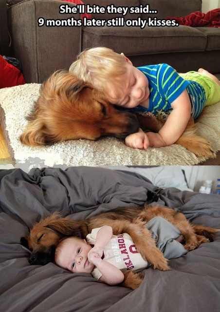 Hilarious Dog Behavior