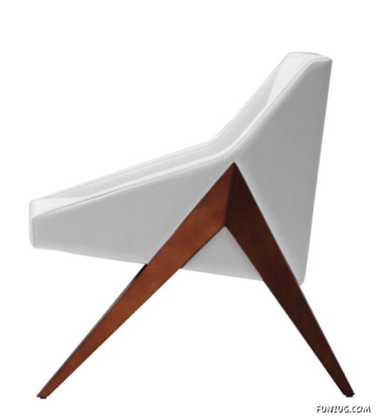 Modern Decorations in House of the Future