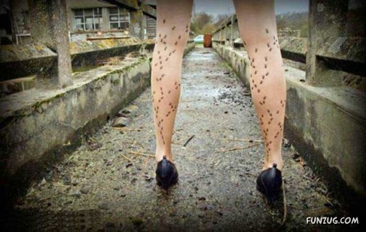 Most Bizarre Tights Fashion