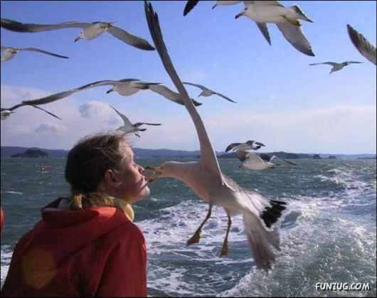 Daily Crazy Pic Mania