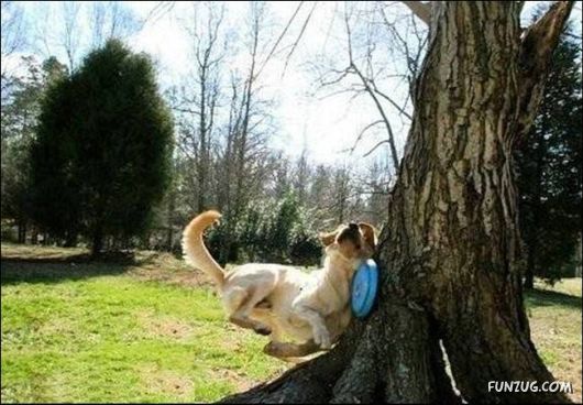 Daily Crazy Pic Mania