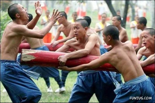 Daily Crazy Pic Mania