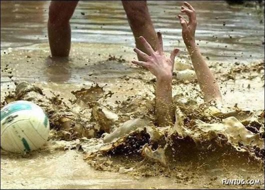 Daily Crazy Pic Mania