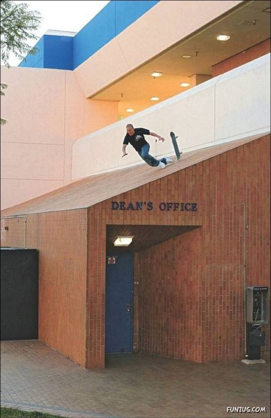 Daily Crazy Pic Mania