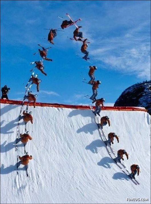 Daily Crazy Pic Mania