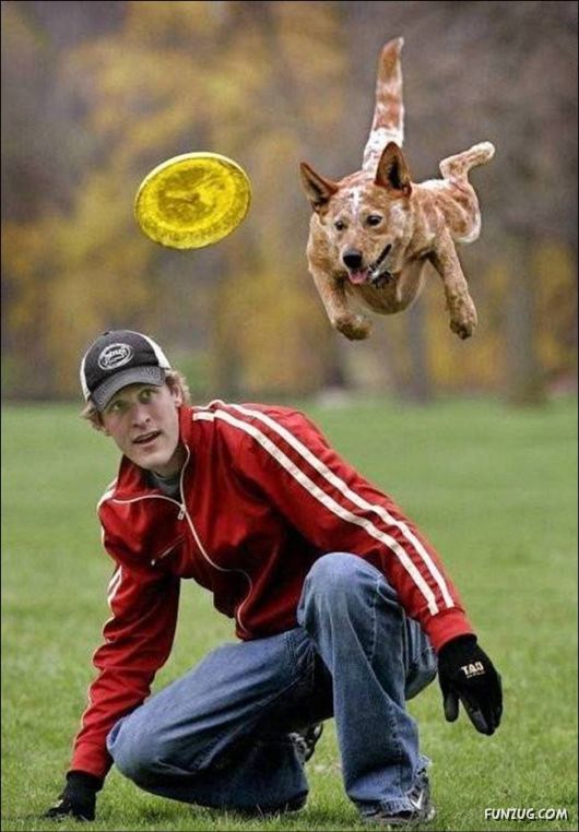 Daily Crazy Pic Mania