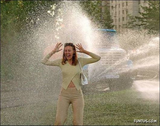 Daily Crazy Pic Mania