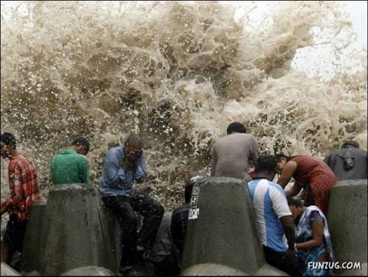 Daily Crazy Pic Mania