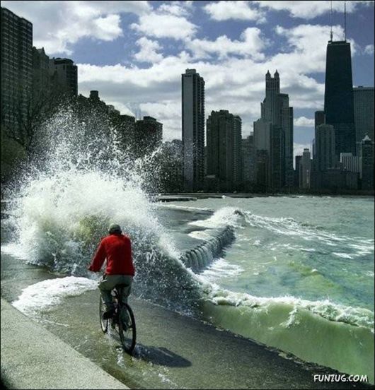 Daily Crazy Pic Mania