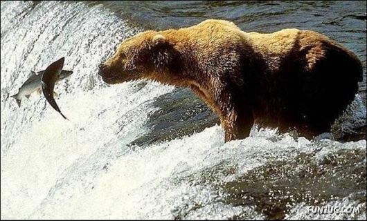 Daily Crazy Pic Mania