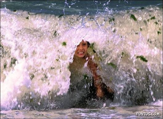 Daily Crazy Pic Mania