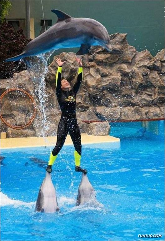 Daily Crazy Pic Mania