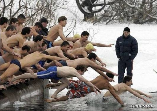 Daily Crazy Pic Mania