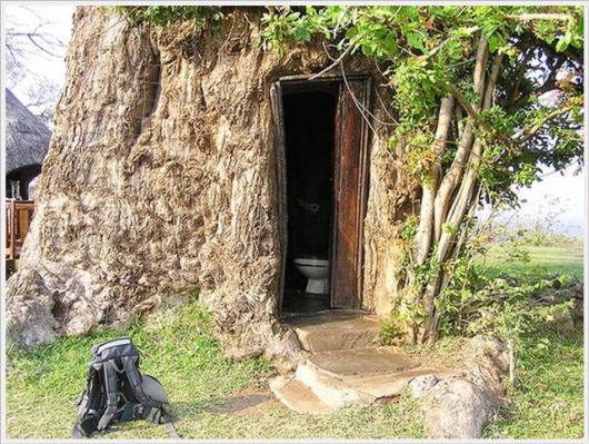 Daily Cool Pictures Collection