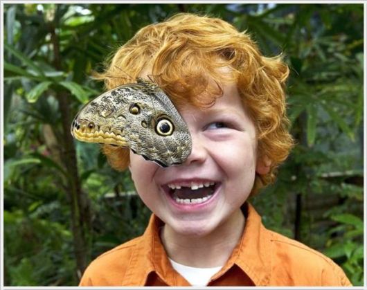 Daily Cool Pictures Collection