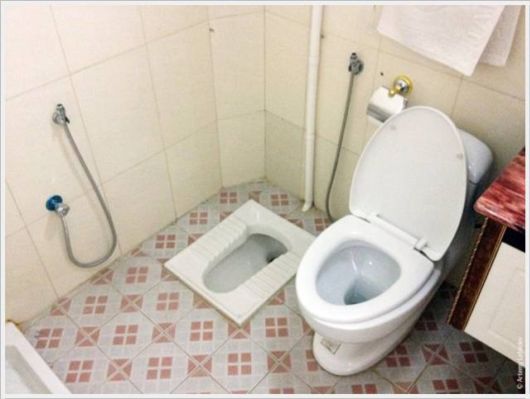 Daily Cool Pictures Collection