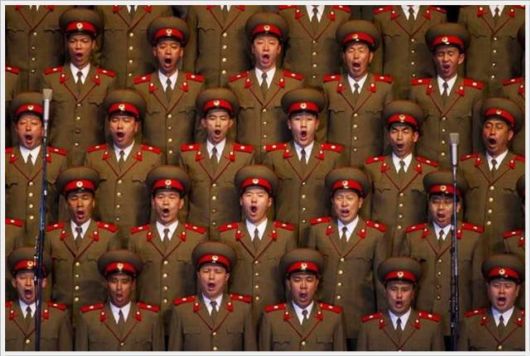 Daily Cool Pictures Collection