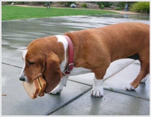 Daily Cool Pictures Collection