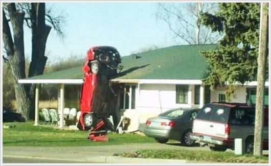 Daily Cool Pictures Collection