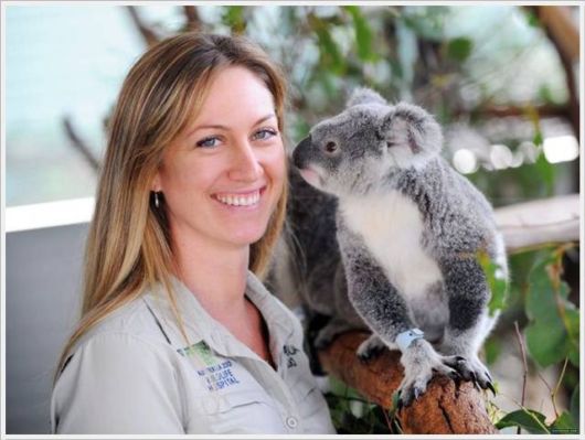 Daily Cool Pictures Collection