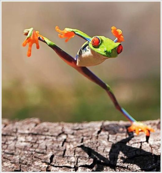 Daily Cool Pictures Collection