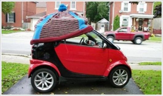 Daily Cool Pictures Collection