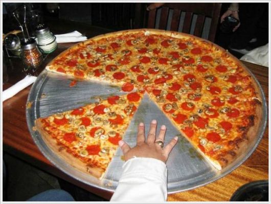 Daily Cool Pictures Collection