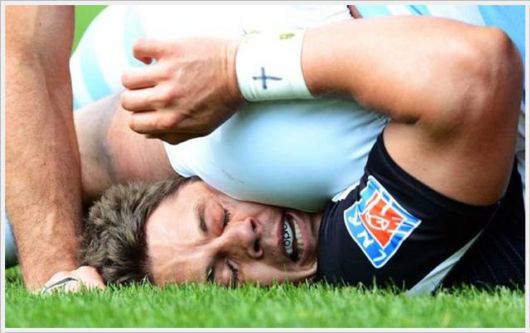 Daily Cool Pictures Collection