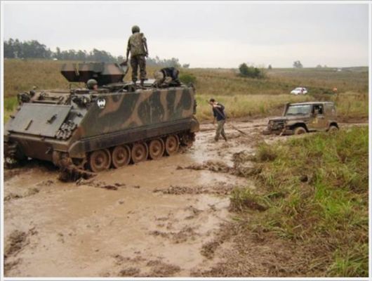 Daily Cool Pictures Collection