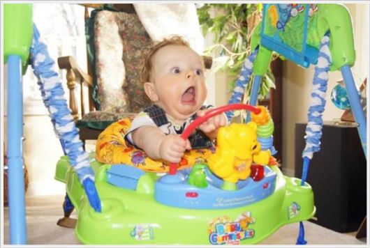 Daily Cool Pictures Collection