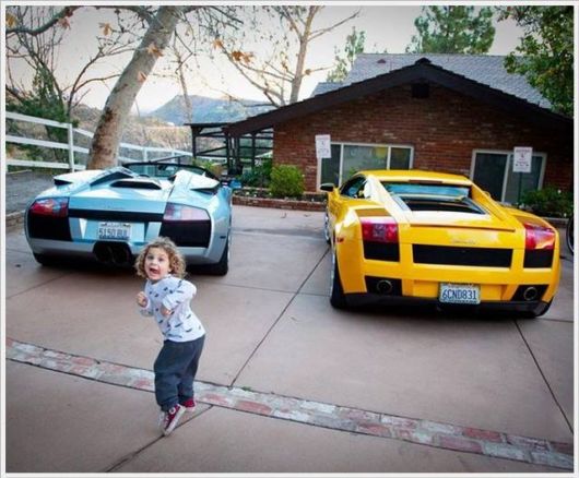 Daily Cool Pictures Collection