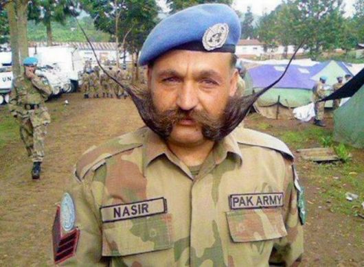 Many Cool Funny Pictures