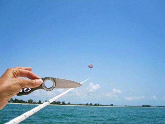 Many Cool Funny Pictures