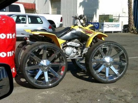 Many Cool Funny Pictures